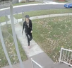 Windsor police are looking for this woman.